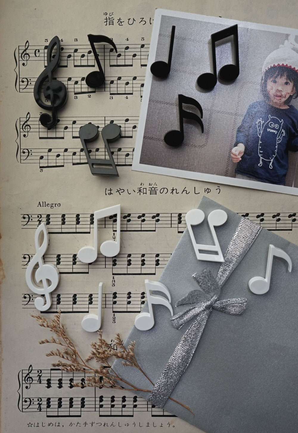 Free - 6pcs Music Note Magnet