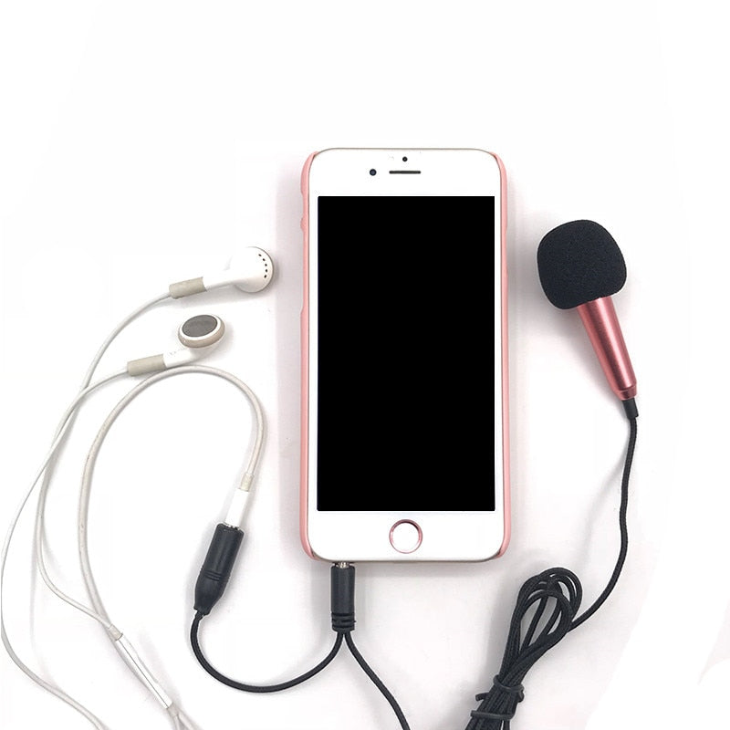 Mini Portable Microphone