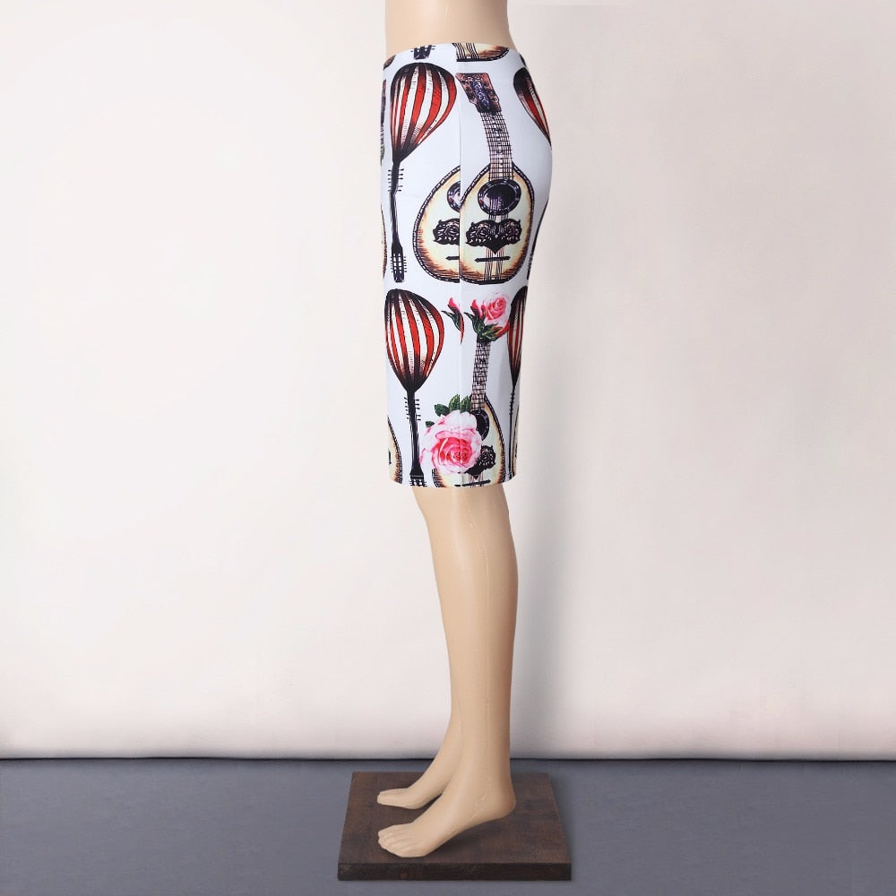 Traditional Instrument Pipa Skirt