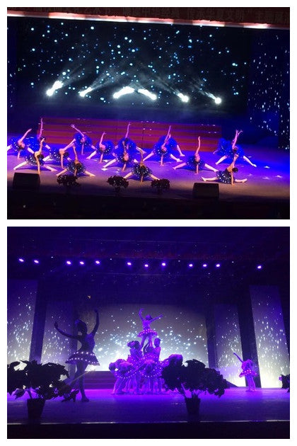 LED Light Swan Lake Ballet Dress