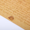 Leonardo Da Vinci Manuscript Vitruvian Man Poster