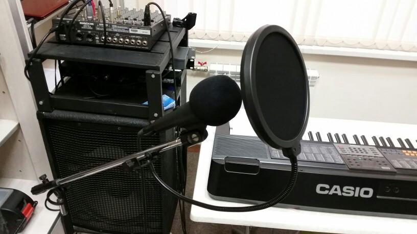 MICROPHONE COVERS - Artistic Pod