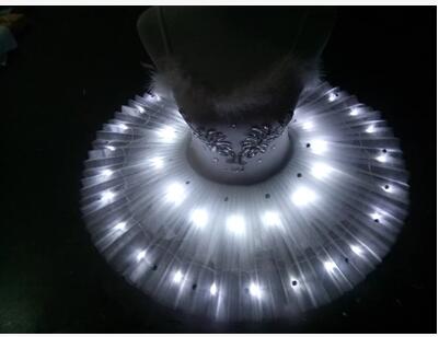 LED Swan Lake Adult Ballet Dress