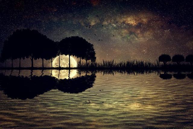 Abstract Tree Guitar Wall Art