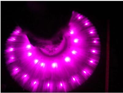 LED Swan Lake Adult Ballet Dress