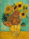 Van Gogh Oil Painting DIY Collection